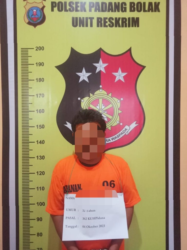 Tak Punya Pekerjaan Tetap, Pria di Paluta Nekad Mencuri Motor   
