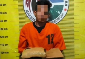 Tak Kapok, Residivis Kasus Narkoba Mau Edarkan Ganja 1 Kg di Kota Padangsidimpuan, Untung Ketangkap