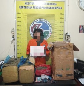 Sukses Besar, Polres Padangsidimpuan Gagalkan Peredaran 22.5 Kg Ganja
