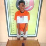 Terduga pencuri HP ditangkap Polsek Padang Bolak
