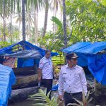 Bersama Camat Sayurmatinggi, Enrico Fermi, Kasat Resnarkoba Polres Tapsel, AKP Salomo Sagala, menyisir tempat-tempat tenda biru untuk meminta pemilik membongkar tendanya guna mengantisipasi peredaran dan penyalahgunaan narkoba