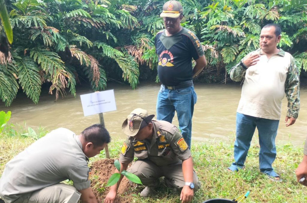 Tanam Ratusan Bibit Pohon, Wujud Komitmen Satpol PP Padangsidimpuan Lestarikan Lingkungan