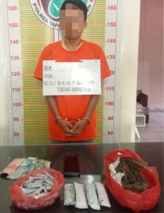 Polres Tapsel Tangkap Pengecer Ganja di Tepi Sawah, BB Ratusan Gram