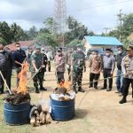 Dandim 0212/TS, Letkol Inf Amrizal Nasition, dan Danyonif 123/RW, Letkol Inf Emick Chandra Nasution, bersama Kapolres Padangsidimpuan, AKBP Dudung Setyawan, Pj Wali Kota, Letnan Dalimunthe, Ketua MUI, Zulpan Efendi Hasibuan, serta lainnya, saat memusnahkan barang bukti narkoba jenis ganja dengan cara dibakar