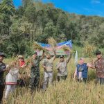 Pj Wali Kota Padangsidimpuan, Dr Letnan Dalimunthe, bersama Danyonif 123/RW, Letkol Inf Emick Chandra Nasution, saat panen raya