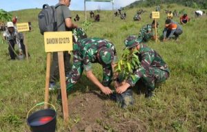 Cegah Bencana Alam dan Lestarikan Lingkungan, Kodim 0212/TS Tanam 500 Bibit Pohon