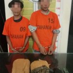 Kedua pria berikut barang bukti 2 ball ganja 1.5 Kg usai ditangkap personel Sat Resnarkoba Polres Tapsel