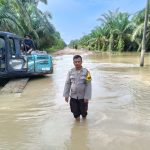 Kapolsubsektor Simangambat, Aiptu Manuel Manurung, meninjau situasi terkini dan perkembangan Jalan Lintas yang tergenang air akibat luapan Sungai Barumun