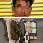 Tersangka berikut barang bukti usai diamankan Tim dari Sat Resnarkoba Polres Tapsel