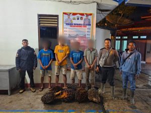 Panen Sawit Milik Kebun Negara, 4 Pria Diamankan Polsek Batang Toru