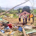 Kapolsek Sipirok, Iptu PM Siboro, didampingi Kanit Reskrim, Ipda Ahmad Juli Nasution, dan personel lainnya, saat melakukan cek TKP Pohon pinus yang menimpa Rumah sekeluarga di Dusun Sidakkal, Desa Situmba