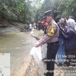 Bhabinkamtibmas Polsek Padang Bolak, Aiptu Salman, saat mengikuti penaburan ribuan benih ikan di Sungai Lubuk Larangan di Desa Hutaimbaru