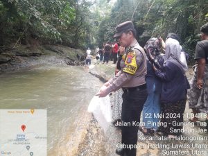Polsek Padang Bolak Ikuti Penaburan Ribuan Benih Ikan di Lubuk Larangan