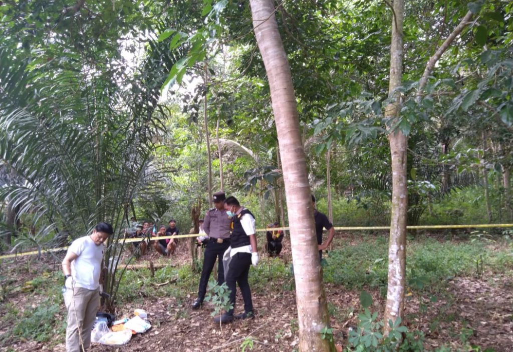 Di Ranting Pohon, Petani di Tapsel Akhiri Hidup