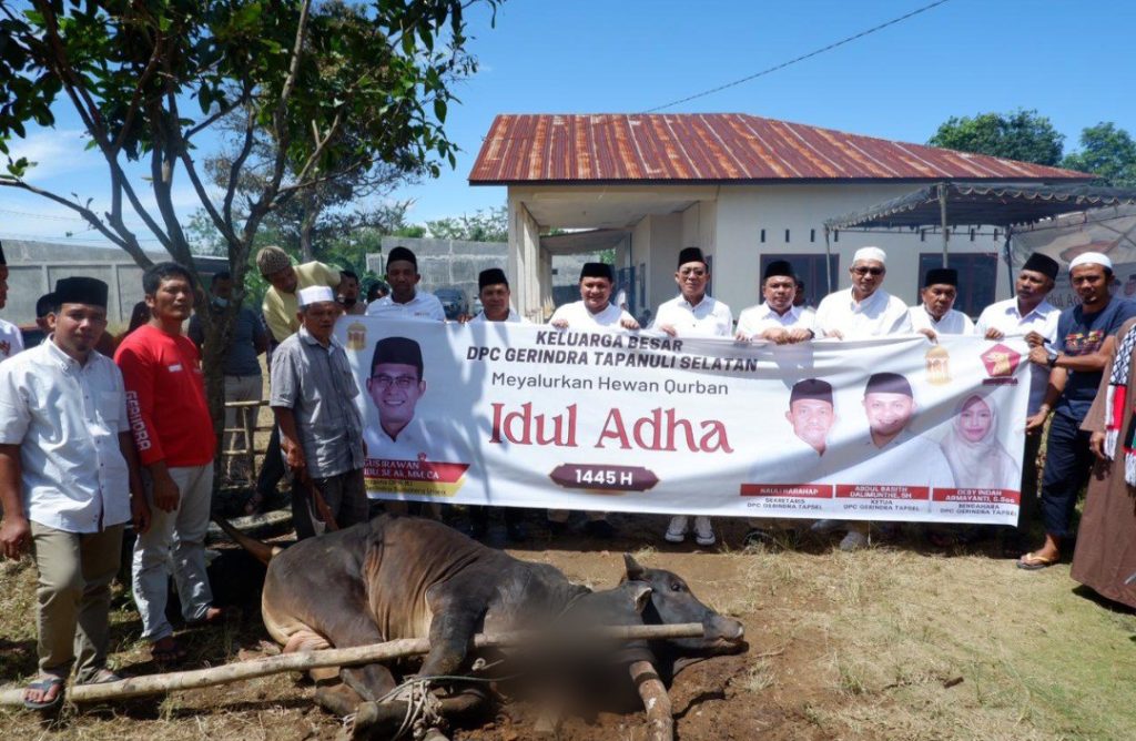 Ungkapan Syukur, Gerindra Kurban Puluhan Lembu di Kabupaten Tapsel
