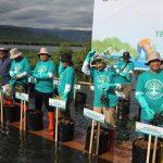 Presiden Direktur PT Agincourt Resources, Muliady Sutio, (kanan) dan Koordinator Inspektur Tambang Provinsi Sumatera Utara, Suroyo, (kedua dari kanan) melakukan penanaman secara simbolis dalam aksi tanam 60 ribu bibit Mangrove di Pandan, Tapanuli Tengah