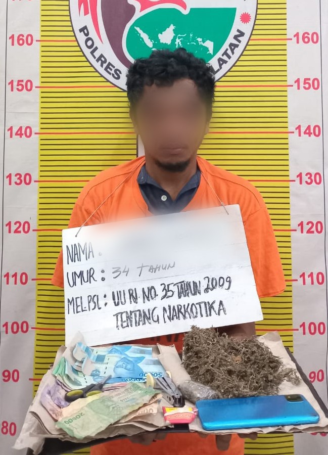 Seorang pria, SN, terpaksa dibekuk Tim Opsnal Sat Resnarkoba Polres Tapsel, diduga usai ngecer ganja di salah satu Pondok di Kelurahan Sayur Matinggi