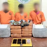 Ketiga pelaku otak pengiriman 10 ball ganja seberat 10 Kg tujuan Kota Bekasi usai ditangkap Tim Opsnal Sat Resnarkoba Polres Padangsidimpuan