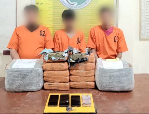Polres Padangsidimpuan Gagalkan Pengiriman 10 Kg Ganja ke Bekasi