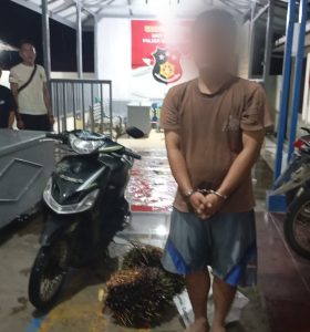 Nekat Manen Sawit Bukan Miliknya, Seorang Pria Diamankan ke Polsek Batang Toru