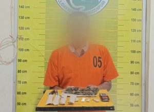 Bukannya Mikir Akhirat, Kakek 62 Tahun Malah Kantongi Banyak Ganja