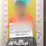 WN berikut barang bukti saat diamankan ke Sat Resnarkoba Mako Polres Tapsel