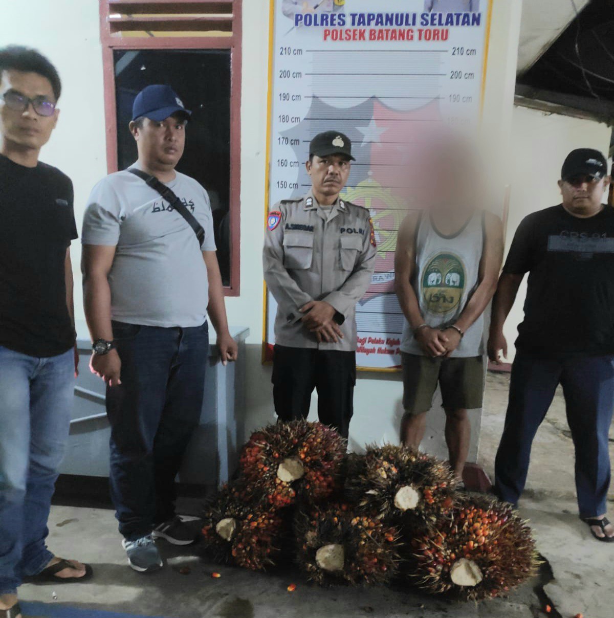 HHI usai diamankan pihak Perkebunan Sawit PTPN IV ke Mako Polsek Batang Toru