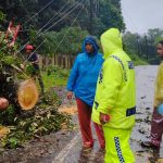 Bersama masyarakat dan Bhabinkamtibmas, Kapos Lantas Batang Toru, Aipda Riky Lubis, mengevakuasi dan membersihkan pohon tumbang yang menutupi badan jalan