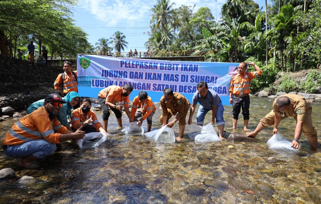 PT AR melepas benih ikan di Sungai Garoga, Kecamatan Batang Toru, Kabupaten Tapanuli Selatan, Sumatra Utara