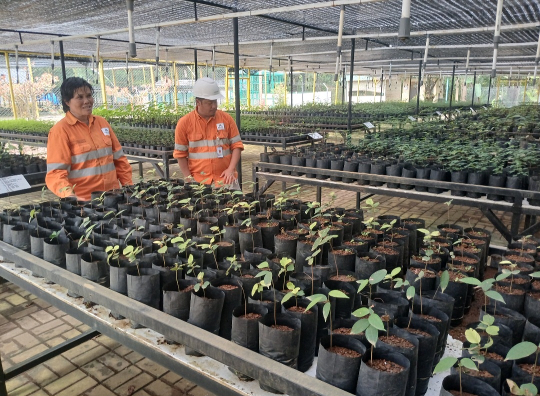 Mahyu Dharsono, selaku Supervisor-Environmental Rehabilitation PT AR, dan rekannya, saat menjelaskan berbagai jenis tanaman di Fasilitas Pembibitan yang dikembangkan di areal tambang