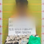 MGH, tersangka pengedar ganja usai diamankan Tim Opsnal Sat Resnarkoba Polres Tapsel