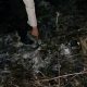 Beginilah kondisi lahan seluas seperempat Hektare yang terbakar di Desa Pangkal Dolok Lama, Kecamatan Batang Onang, Kabupaten Paluta