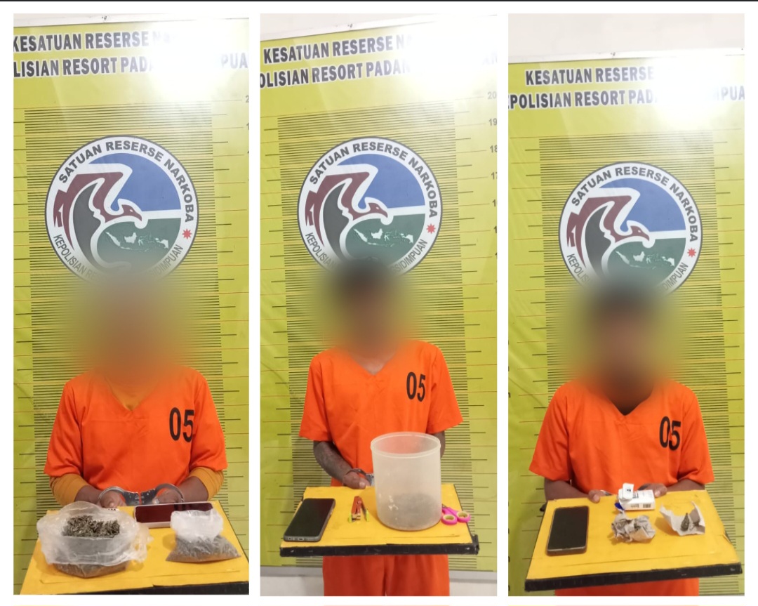 Ketiga tersangka saat menunjukkan barang bukti ganja usai ditangkap Tim Opsnal Sat Resnarkoba Polres Padangsidimpuan