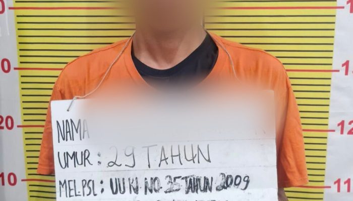 Nyamar Jadi Pembeli, Sat Samapta Polres Tapsel Bekuk Pengedar Narkoba