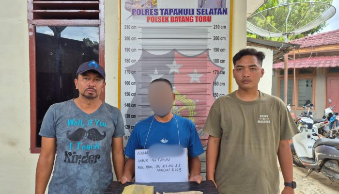 Polsek Batang Toru Bekuk Pemilik Warung yang Simpan Ganja di Bawah Pohon Pisang