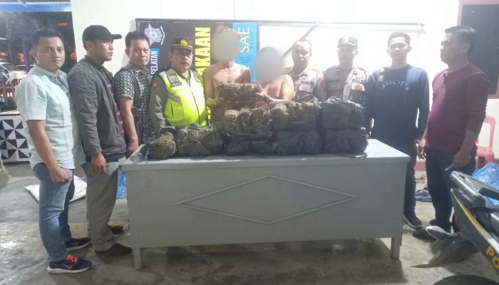 Wow, Kapolsek Batang Toru Tangkap 22 Kg Ganja dari Mobil saat Razia