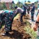 Personel Koramil dan Polsek Batang Toru saat menggelar kurve bersama dengan bergotongroyong membersihkan sisi kiri dan kanan Jalan Lintas di Desa Huta Baru Siagian