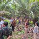 Tim RMBH RO BRI Medan, kunjungi kluster Salak Manis di Desa Sigumuru, Kecamatan Angkola Barat, Kabupaten Tapsel