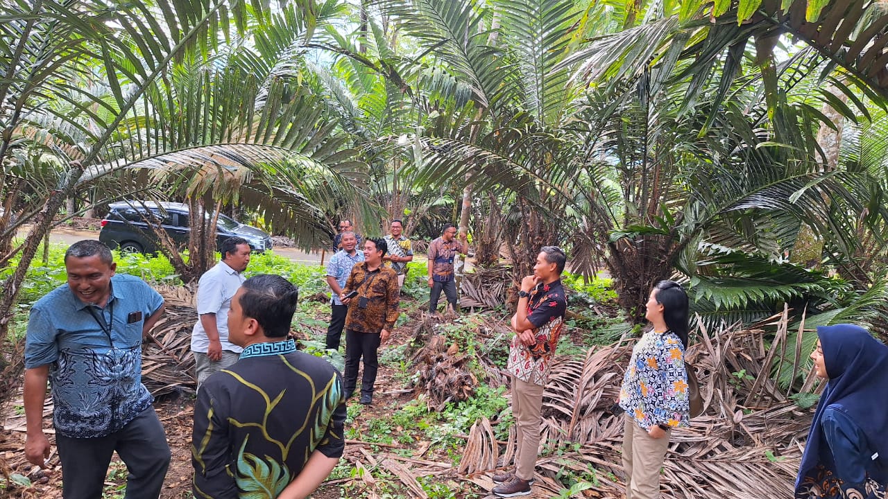 Tim RMBH RO BRI Medan, kunjungi kluster Salak Manis di Desa Sigumuru, Kecamatan Angkola Barat, Kabupaten Tapsel