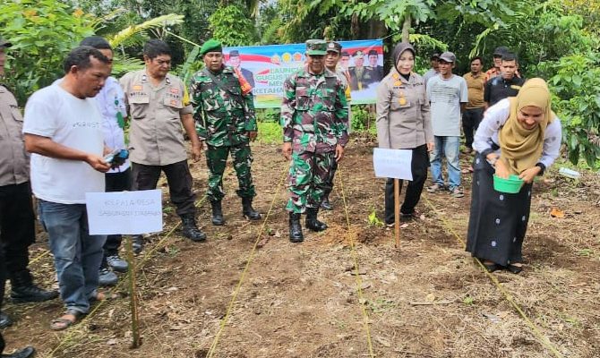 Launching Gugus Tugas Ketahanan Pangan Polri, Kapolsek Hutaimbaru Tanam Jagung