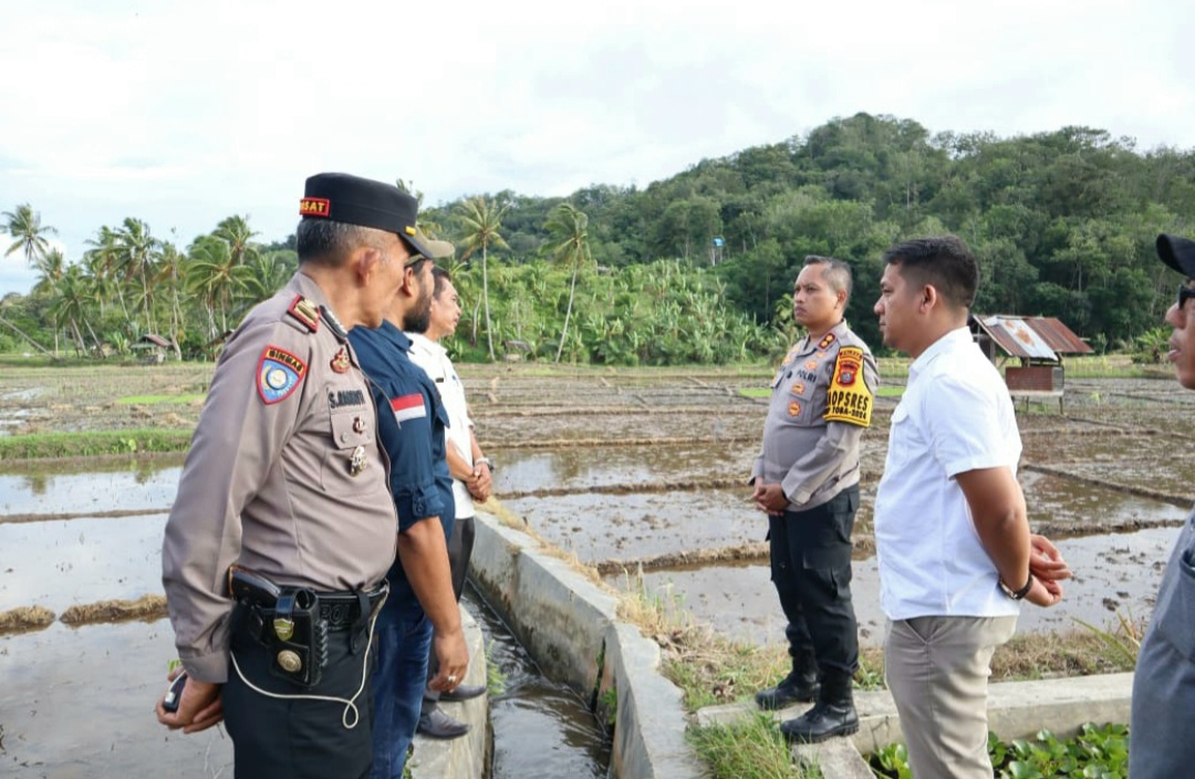 Kapolres Padangsidimpuan, AKBP Dr Wira Prayatna, saat meninjau lokasi persawahan masyarakat guna mengetahui langsung kondisi pertanian para petani sebagai ujung tombak ketahanan dan swasembada pangan