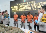 Berkat ‘Nyanyian’ 2 Kurir, Polres Tapsel Akhirnya Sukses Tangkap 2 Pemesan Ganja 22 Kg