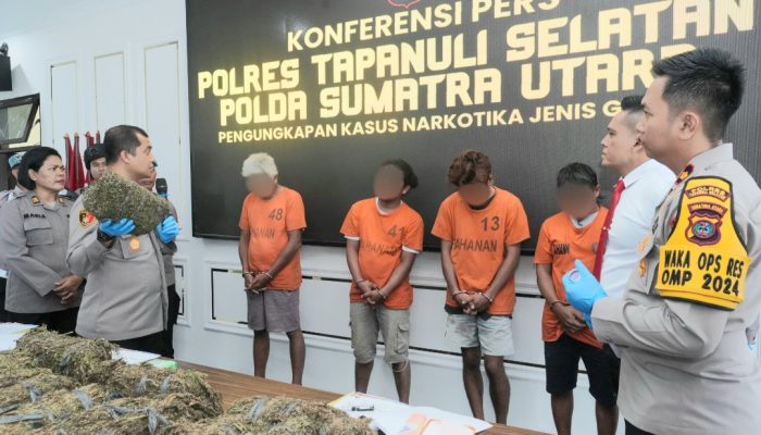 Berkat ‘Nyanyian’ 2 Kurir, Polres Tapsel Akhirnya Sukses Tangkap 2 Pemesan Ganja 22 Kg