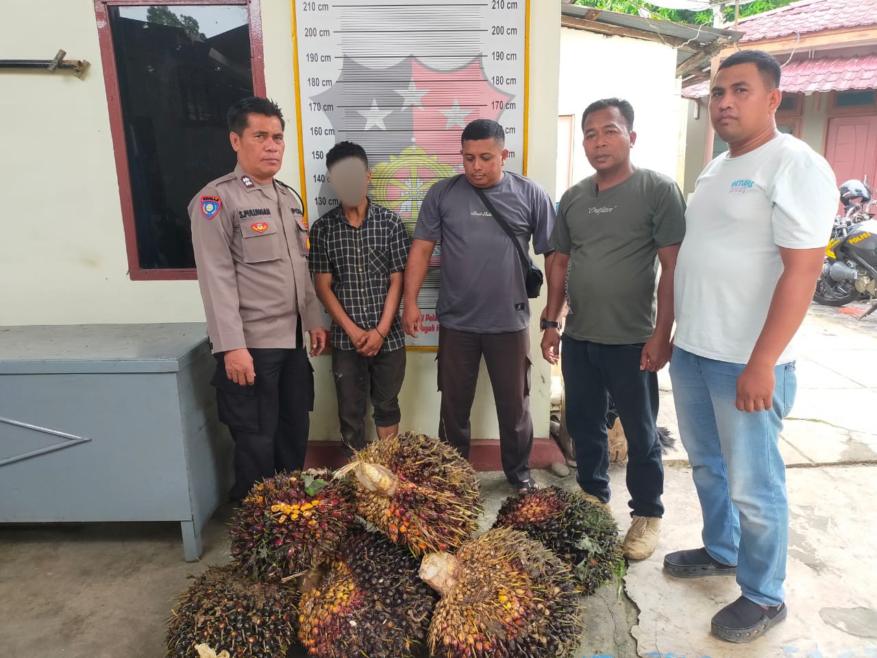 Personel Polsek Batang Toru saat mengamankan DZ berikut barang bukti 8 tandan buah sawit seberat 80 Kg yang diserahkan pihak PTPN IV Region I Kebun Batang Toru