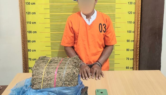 Sempat Kejar-kejaran, Kurir Pembawa 4 Kg Ganja Menyerah di Kebun Sawit