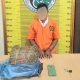 Seorang kurir 4 Kg lebih ganja berinisial, KN, usai ditangkap Tim Opsnal Sat Resnarkoba Polres Padangsidimpuan
