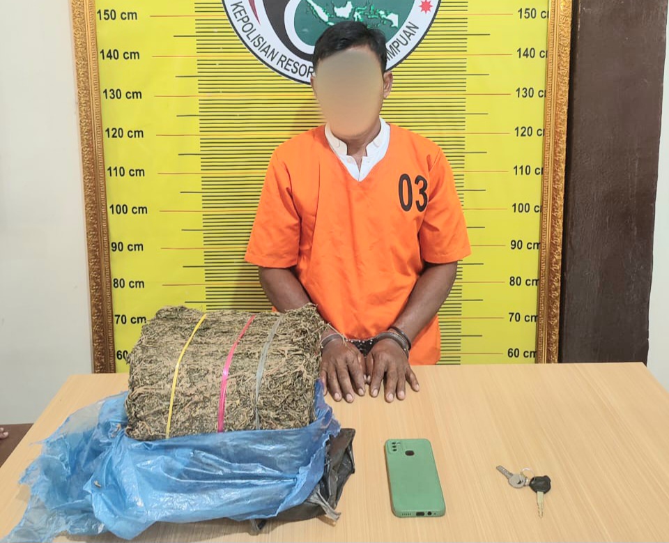 Seorang kurir 4 Kg lebih ganja berinisial, KN, usai ditangkap Tim Opsnal Sat Resnarkoba Polres Padangsidimpuan