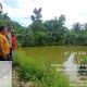 Bhabinkamtibmas Polsek Batang Toru, Aiptu Pasomal Siregar, saat melakukan survey ke kolam ikan milik masyarakat di Desa Tarapung Raya