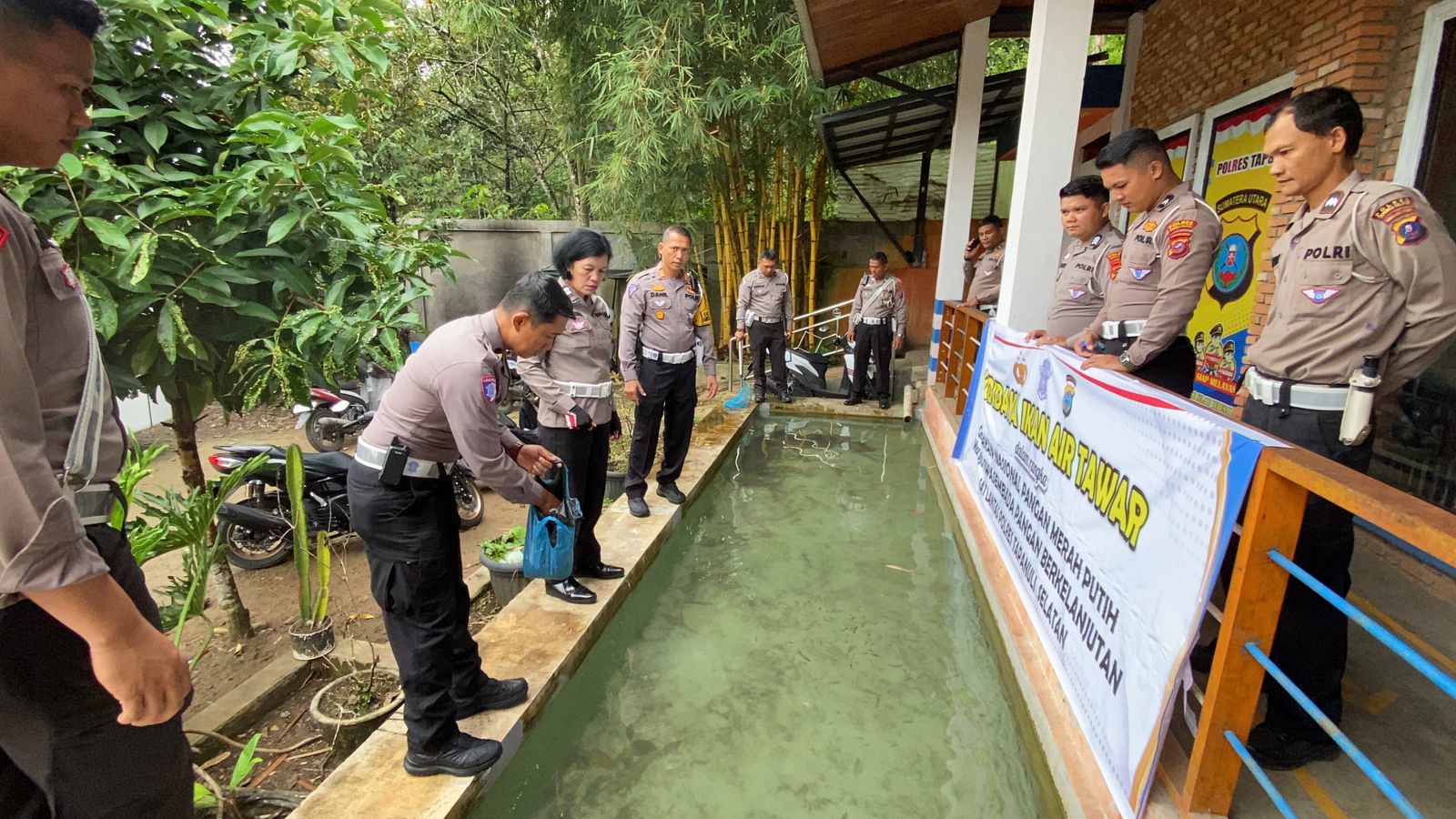 Kasat Lantas Polres Tapsel, AKP Danil Saragih, bersama jajaran saat menabur ribuan benih ikan nila di Kolam Satpas dalam rangka gerakan Nasional Merah Putih menuju swasembada pangan berkelanjutan