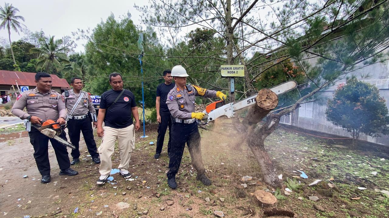 Kasat Lantas Polres Tapsel, AKP Danil Saragih, saat mempraktekkan penggunaan sinsaw untuk memotong Pohon tumbang jika sewaktu-waktu terjadi bencana yang menutup akses lalulintas di jalan raya